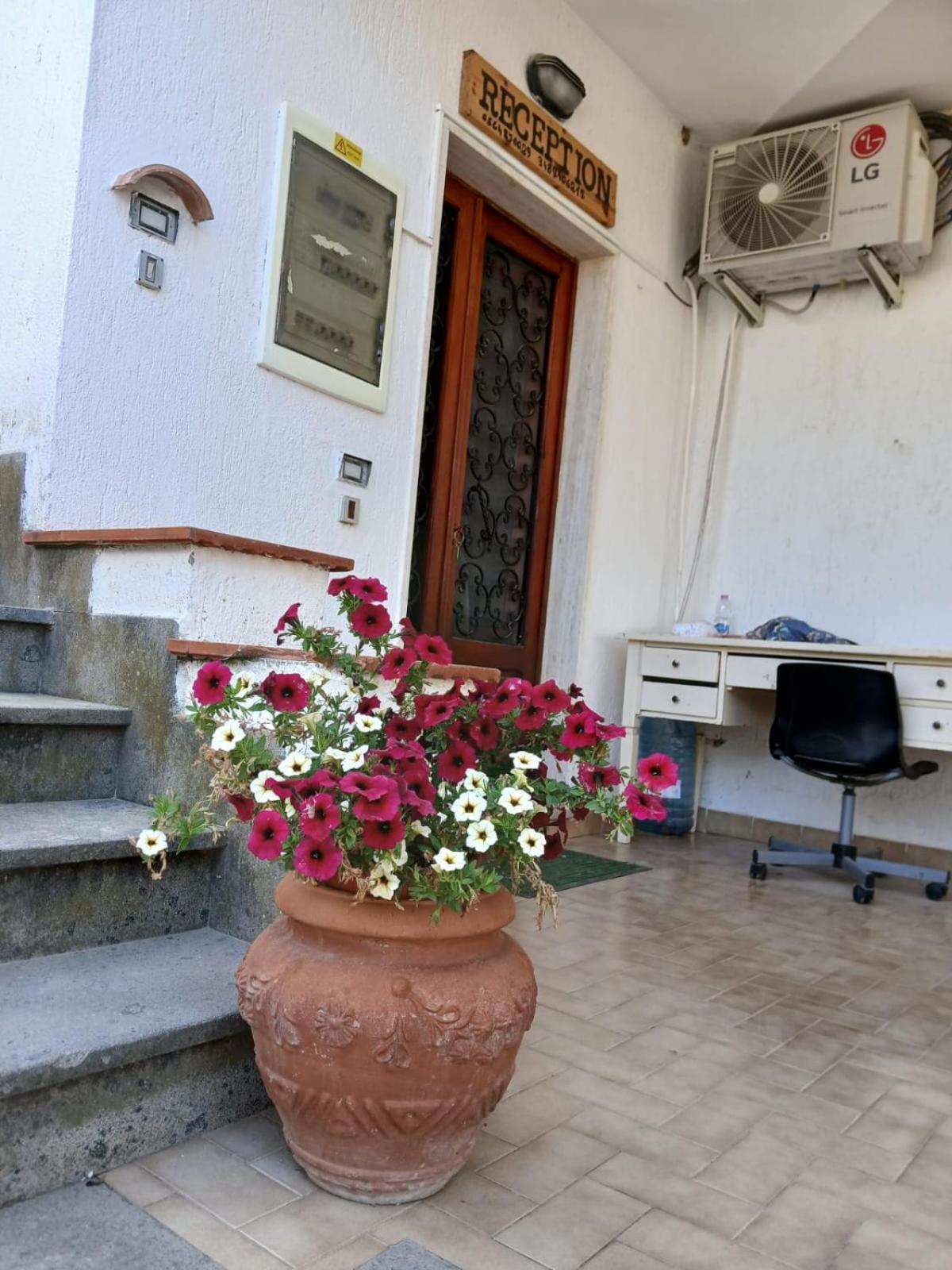 Hotel Dory Albinia Zewnętrze zdjęcie