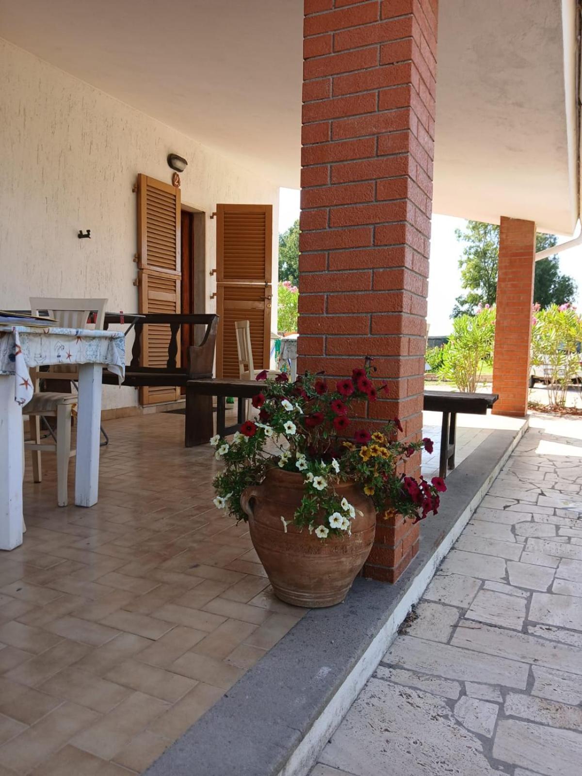 Hotel Dory Albinia Zewnętrze zdjęcie